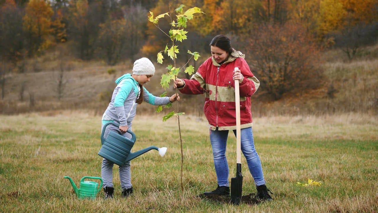 girl-scout-tree-promise-the-hub