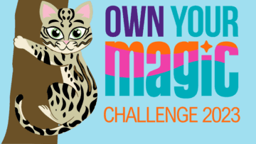 GSGI Own Your Magic Challenge Contest