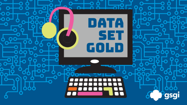 DataSetGold Program
