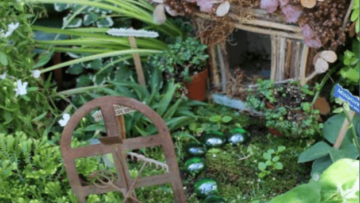 Fairy Garden Magic at the Des Moines Botanical Garden